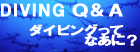 ダイビングQ&A ダイビングってなあに?