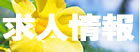 ダイビング求人